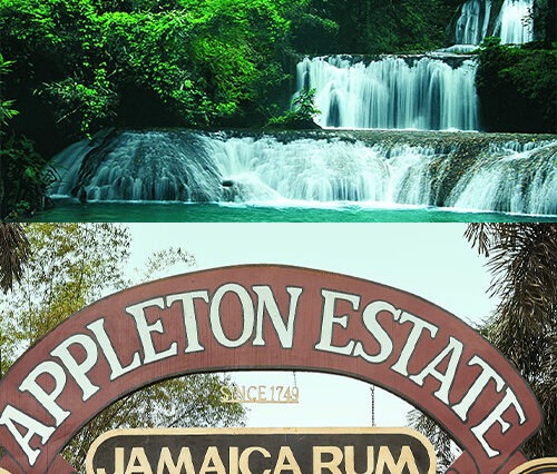 YS Falls & Appleton Rum Factory Combo Tour Package