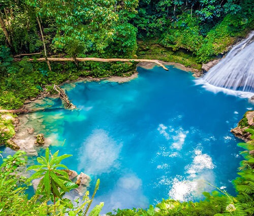 Blue Hole Ocho Rios & Bob Marley Nine Miles St. Ann Combo Tour Package