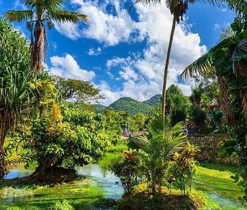Rastasafari Experience Includes ATV & Dune Buggy Experience (Located in Sav-La-Mar)
