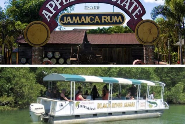 Black River Safari & Appleton Rum Factory Combo Tour Package
