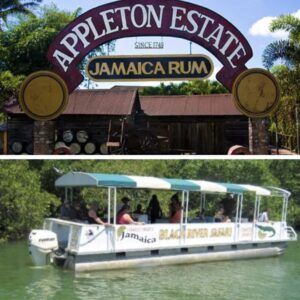 Black River Safari & Appleton Rum Factory Combo Tour Package