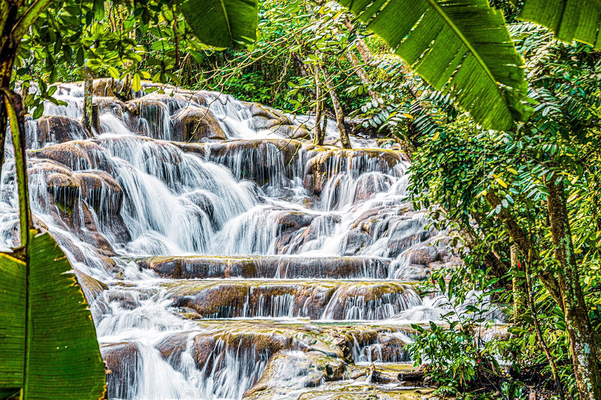 Dunn’s River Falls Ocho Rios - Image 4